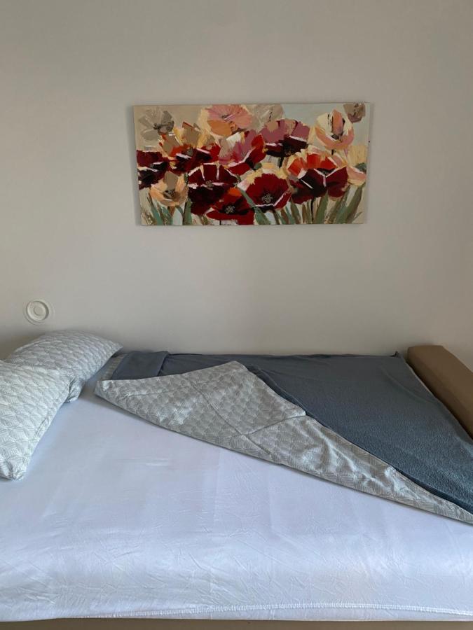 Apartman Colapis- Self Check In, Free Parking, Premium Location! Карловац Экстерьер фото