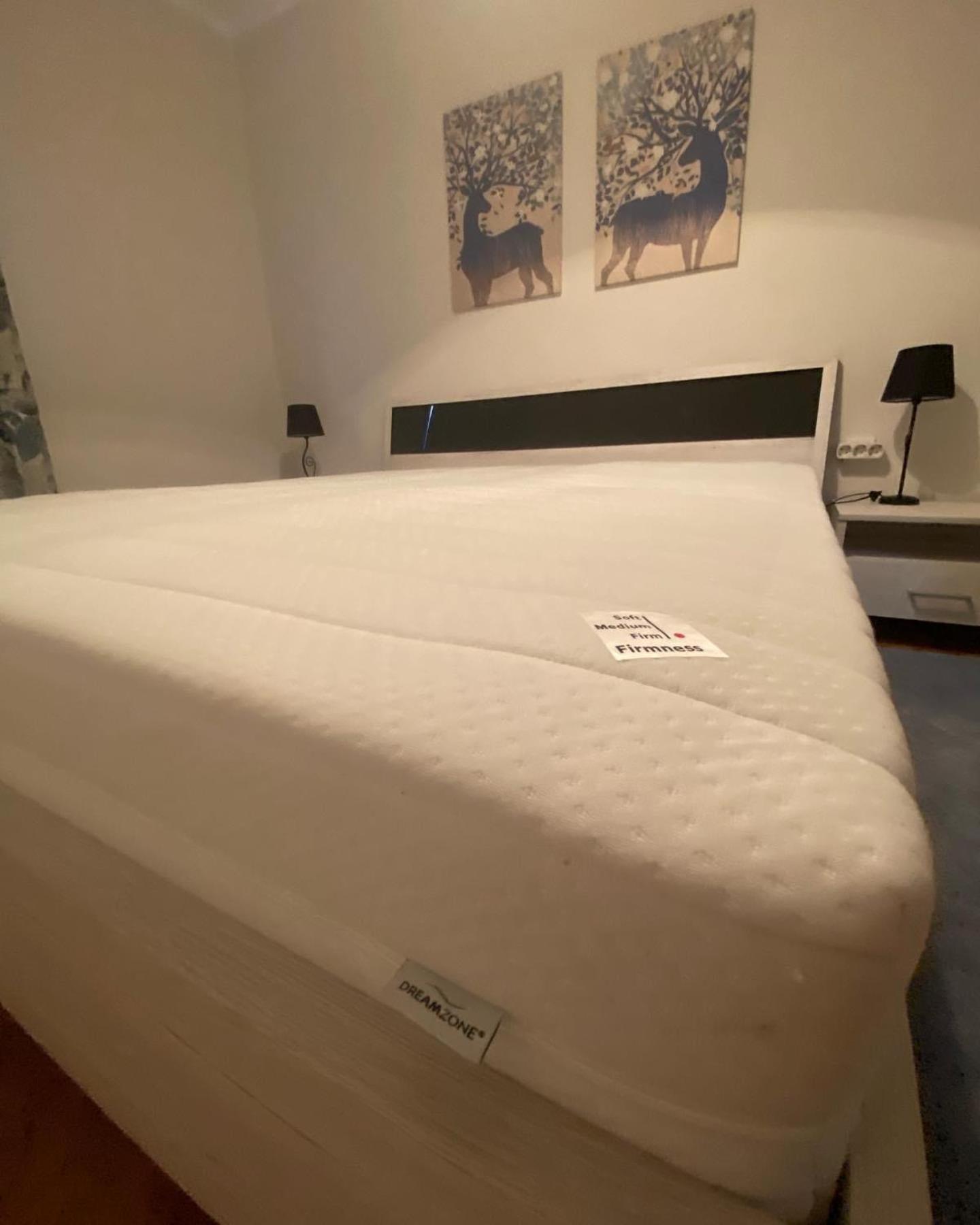 Apartman Colapis- Self Check In, Free Parking, Premium Location! Карловац Экстерьер фото